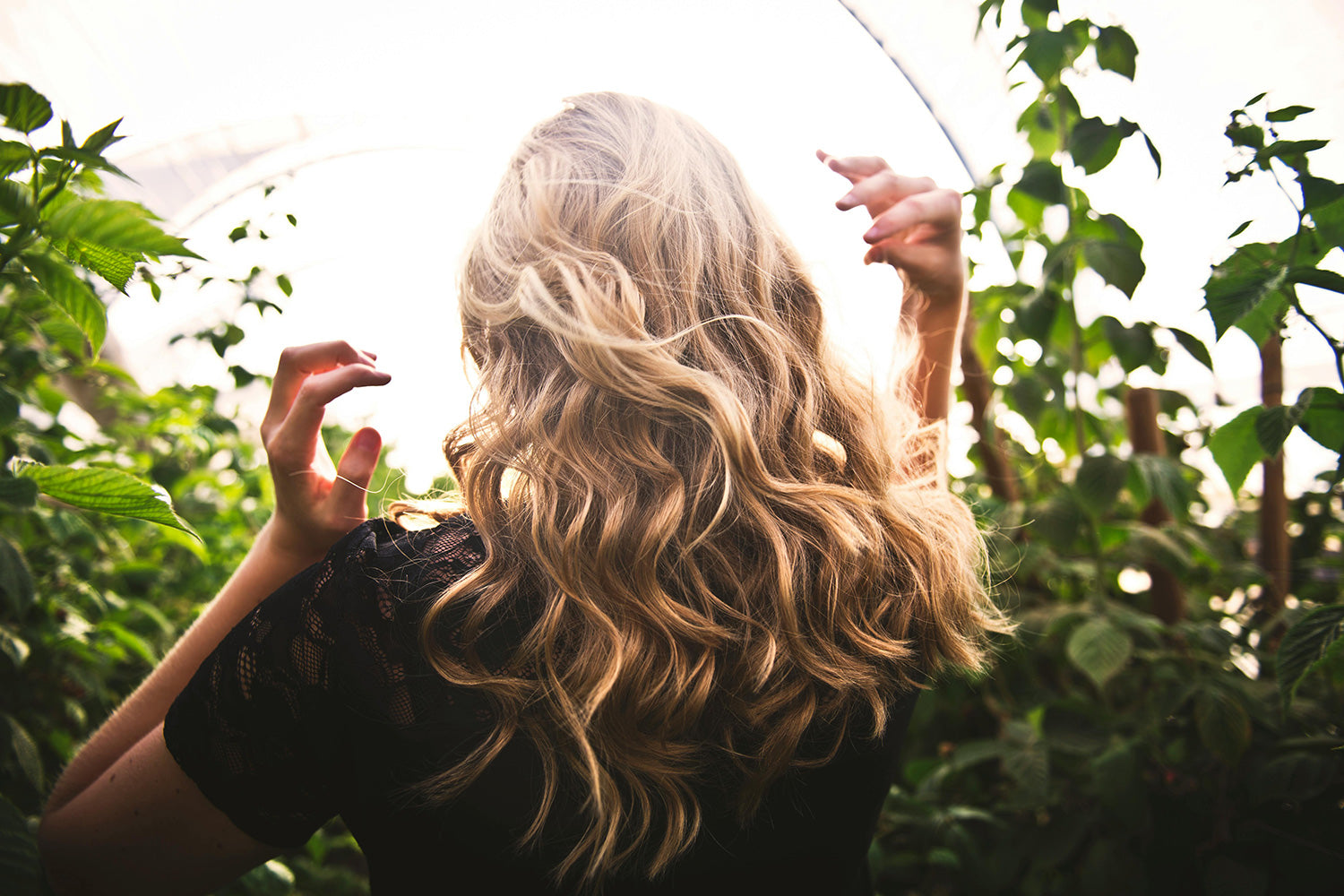 Why Angel Haircare is the Ultimate Choice for Your Hair Type