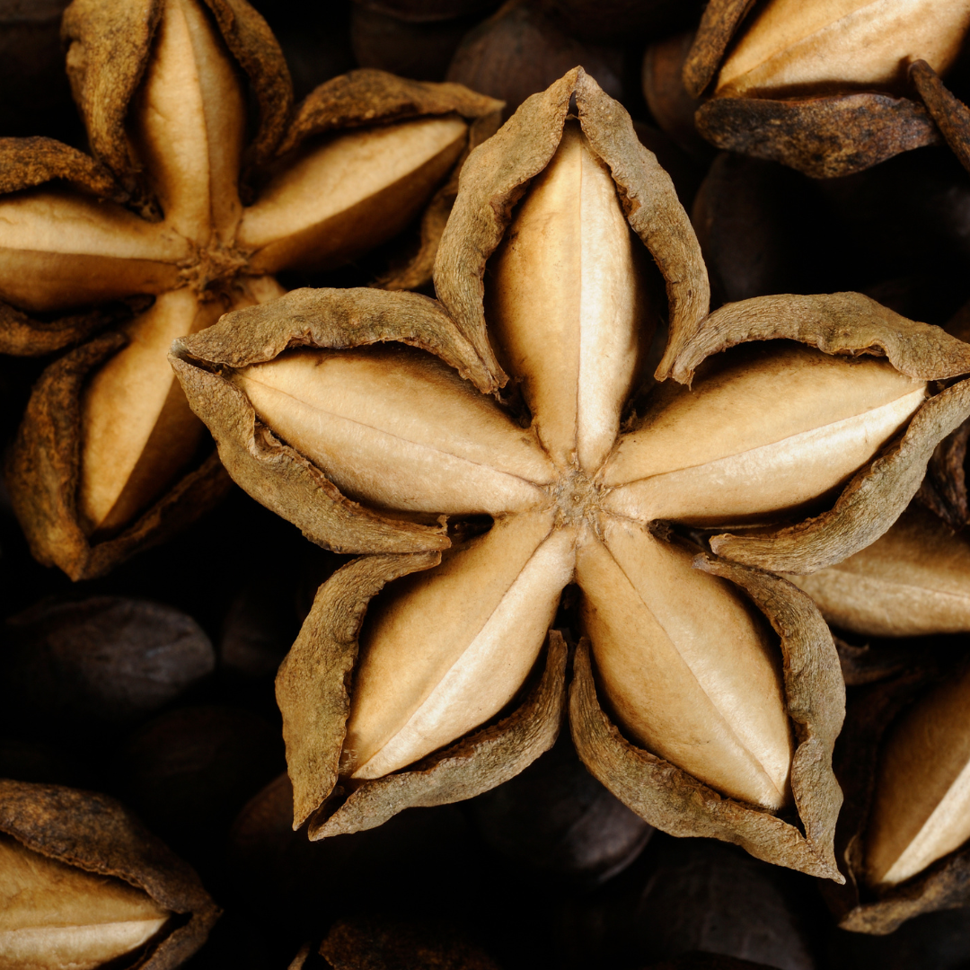 Angel Haircare New Zealand