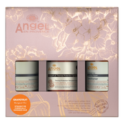 Grapefruit Thermal Protection Gift Pack - Angel gift set for damaged hair - Angel en Provence shampoo & conditioner