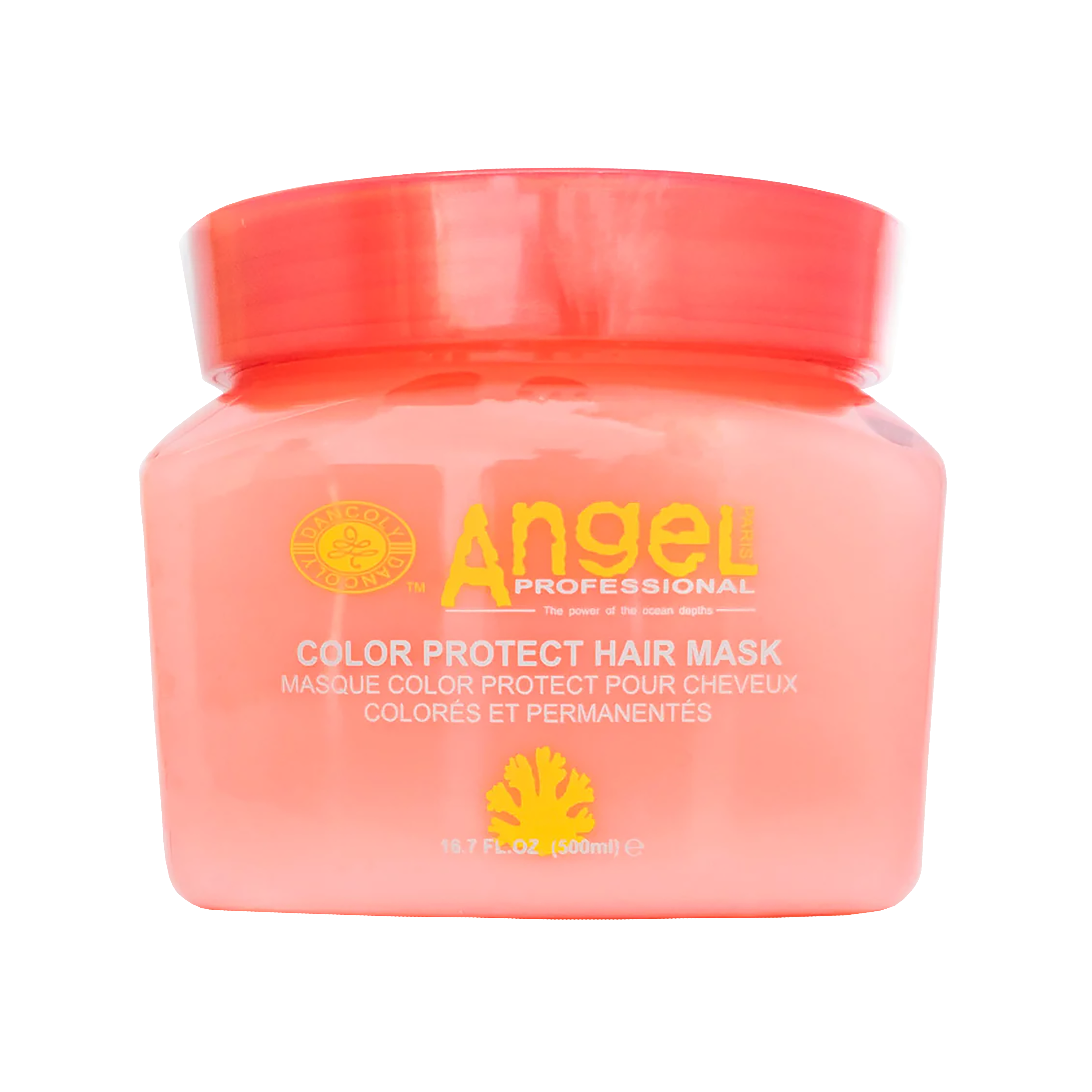 Angel Professional Color Protect Hair Mask